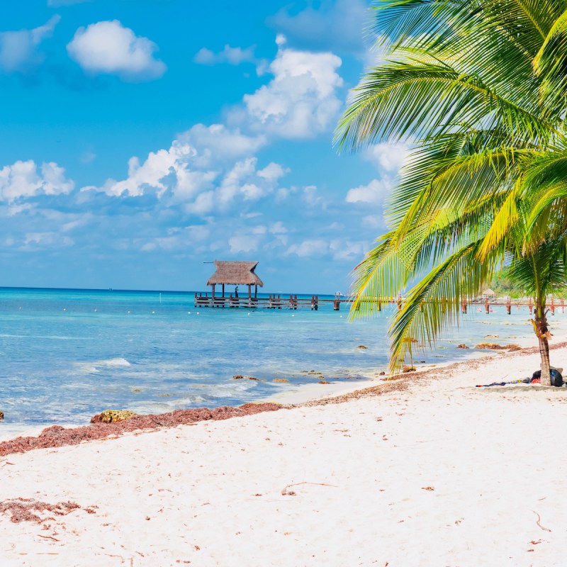 Cozumel Mexico