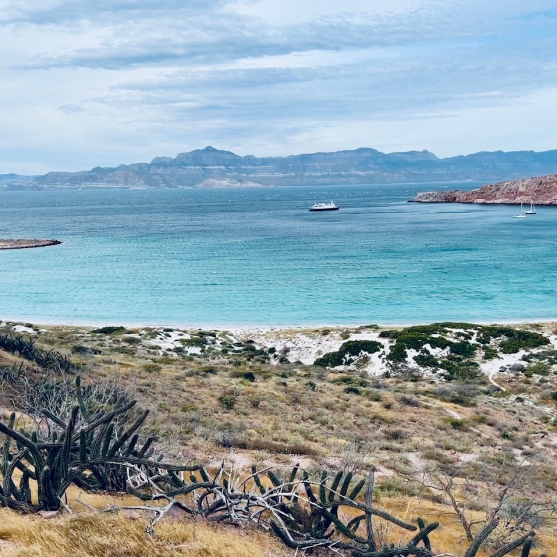Baja Agua Verde