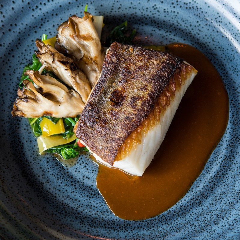 Black Cod entrée at Aerlume Restaurant in Seattle, Washington