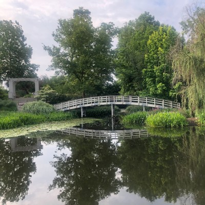 Beautiful bridge in the Creation Museum's botanical gardens with trees reflecting on the water