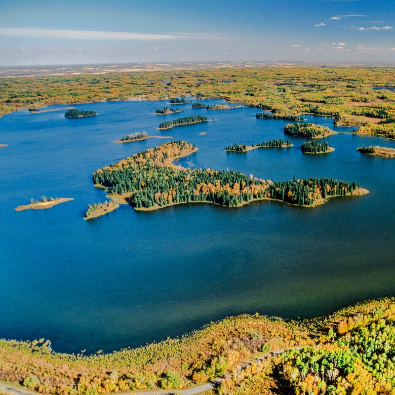 Elk Island National Park, Alberta, Canada