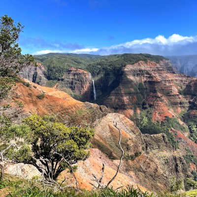 The view of Waimea Canyon from one of the overlooks