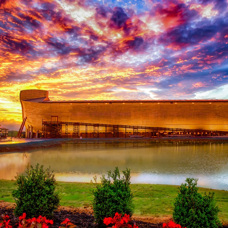 The ark from a distance