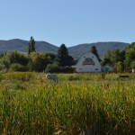 Huntsville road with landmark barn and mural