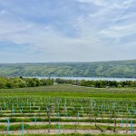 View from the west side of Keuka Lake