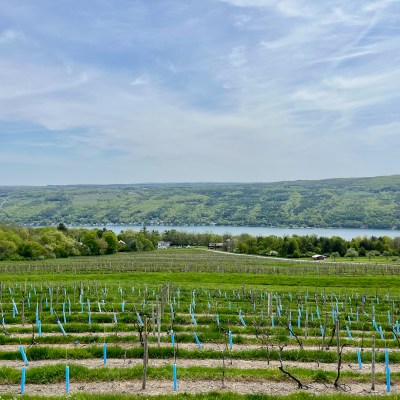 View from the west side of Keuka Lake