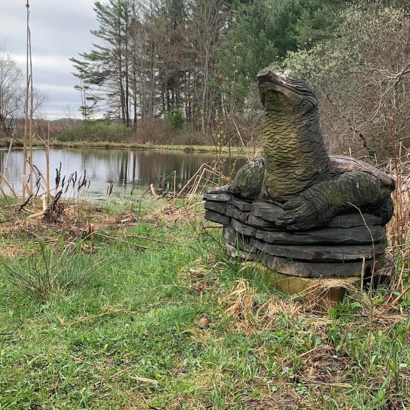 Sculpture at the Roger Tory Peterson Institute
