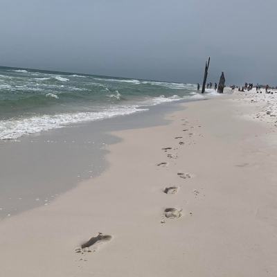 Shell Island in Panama City Beach, Florida