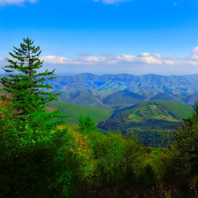 Spruce Knob, West Virginia