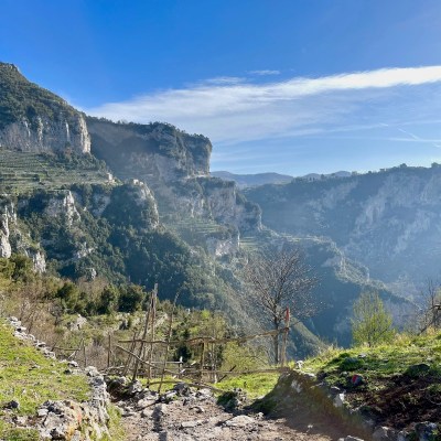 Terraced hillsides along the Path of the Gods