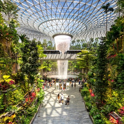 The gardens of Singapore Changi Airport
