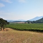 Cliff Creek Cellars