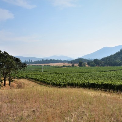 Cliff Creek Cellars