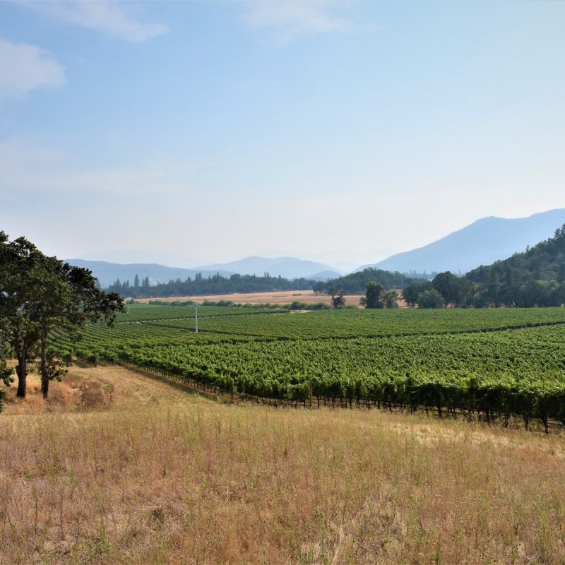 Cliff Creek Cellars
