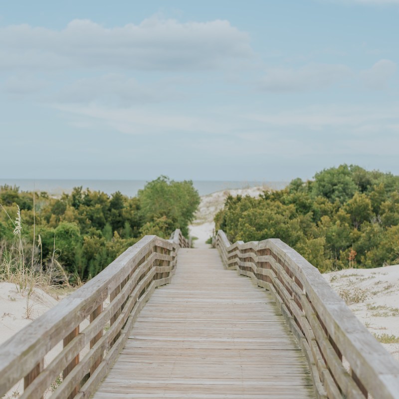 Boardwalk leading to the beach on Cumberland Island