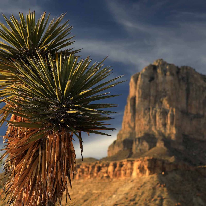 El Capitan at Guadalupe Mountains National Park