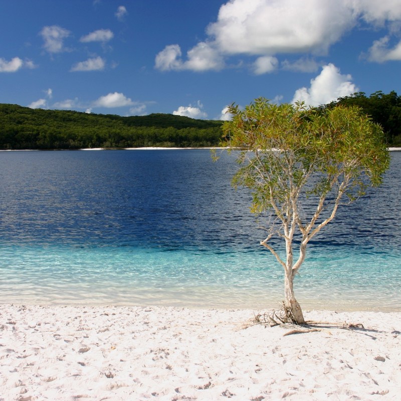 Fraser Island, Australia