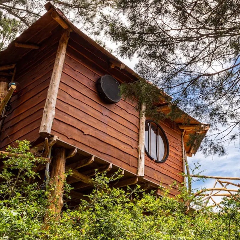 Hobbit's Nest Treehouse in Paige, Texas