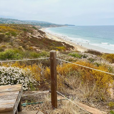 View of Crystal Cove State Beach from the bluffs above