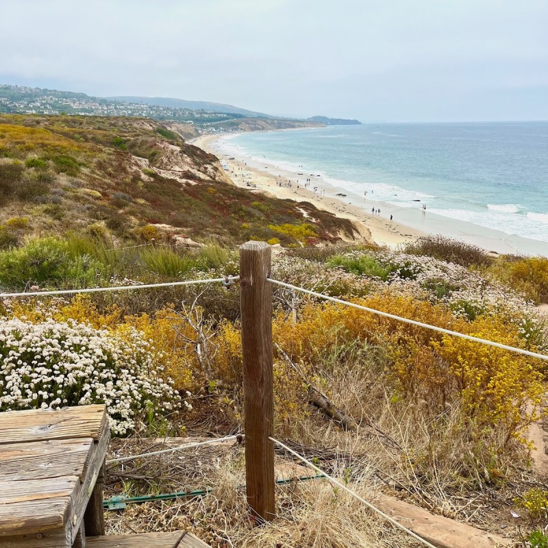 View of Crystal Cove State Beach from the bluffs above