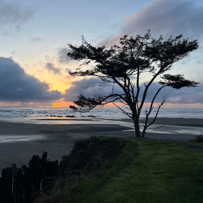 The stunning sunsets at the beach near Kalaloch Lodge