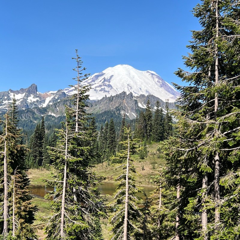 Views of Mount Rainier from the Chinook Scenic Byway