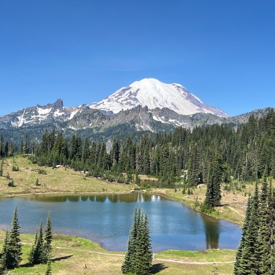 View of Mount Rainier at Tipsoo Lake from the Chinook Scenic Byway