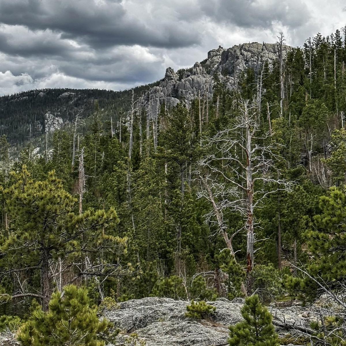 Black Elk Peak