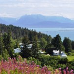 Quaint homes in the small Alaska town of Homer