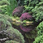 The Japanese Garden at the Bloedel Reserve on Bainbridge Island