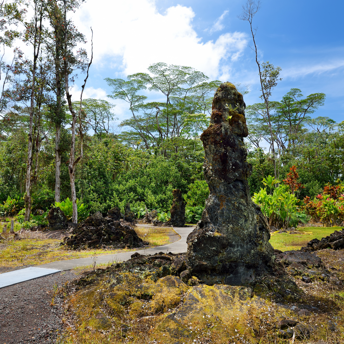 9 Tips For Visiting Lava Tree State Monument | TravelAwaits
