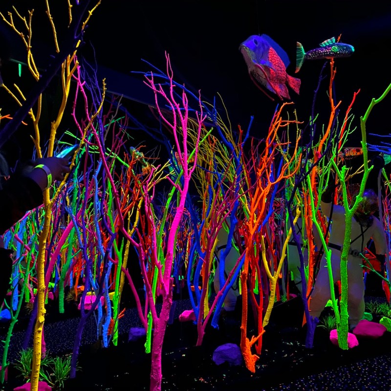 A Magical World at Meow Wolf House of Eternal Return in Santa Fe