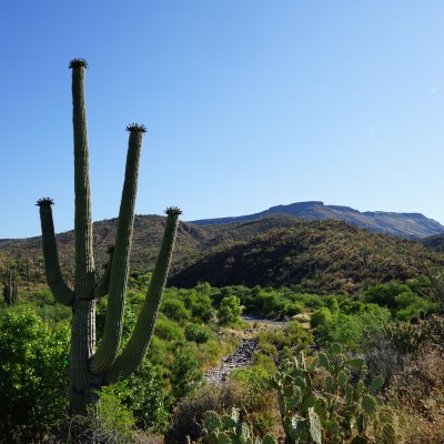 Spur Cross Ranch Conservation Area in Cave Creek, Arizona