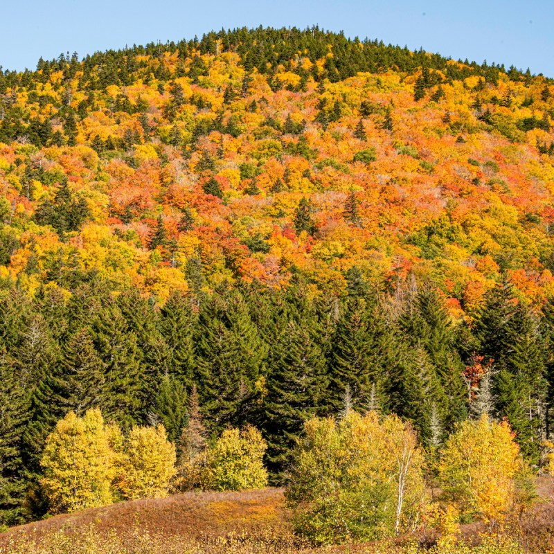 Bretton Woods at the base of Mount Washington in New Hampshire