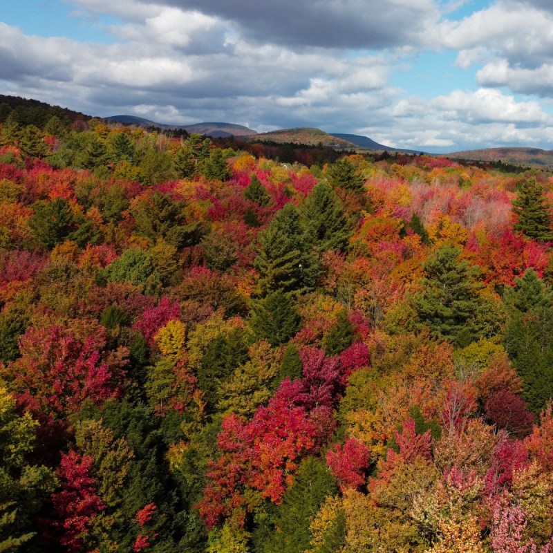 The autumn Catskills Mountains in Upstate New York