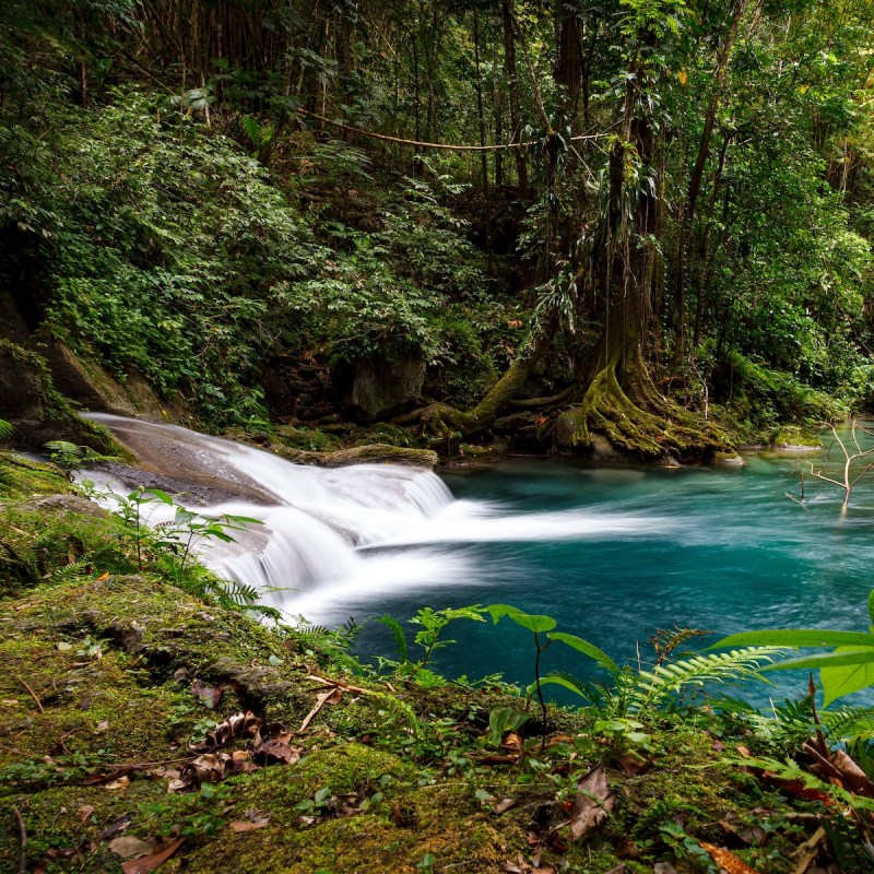 Reach Falls in Manchioneal, Jamaica