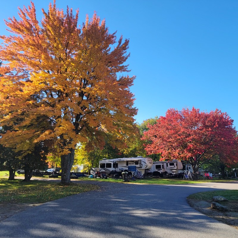 Spacious Skies Campground