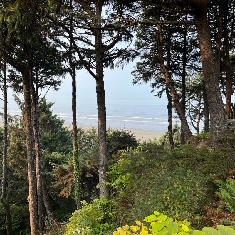 The views at Ocean Crest Resort in Moclips, Washington