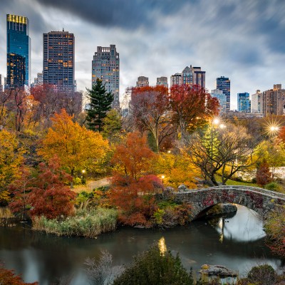 Central Park during fall in New York City