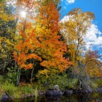 Fall scenes along the Chippewa River in northern Wisconsin