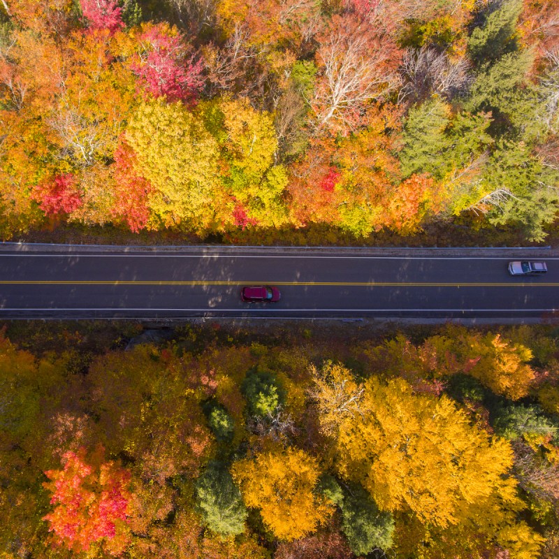 White Mountain National Forest on the Kancamagus Highway