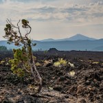 Lava fields at Newberry National Volcanic Monument in central Oregon