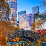 Central Park during autumn in New York City