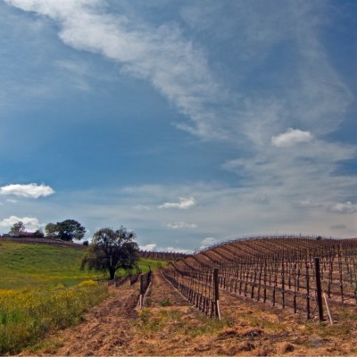 Paso Robles Wine Country