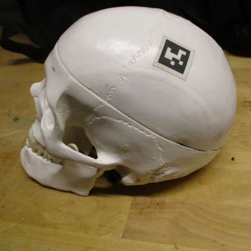 plastic skull