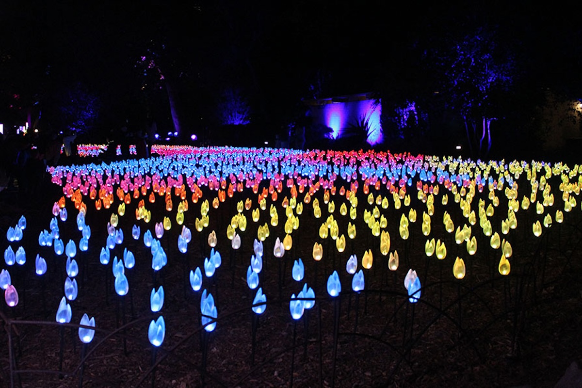 The Best Christmas Lights And Events In Los Angeles TravelAwaits