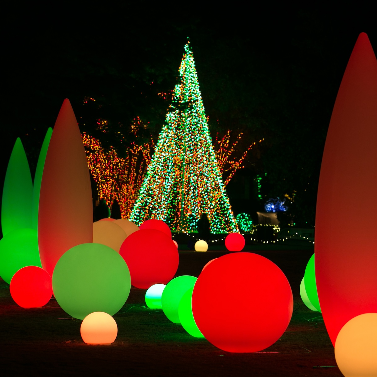 Garden Lights, Holiday Nights at Atlanta Botanical Garden