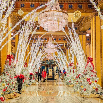 Roosevelt Hotel New Orleans during Christmas