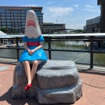 Buffalo Canals Shark Girl