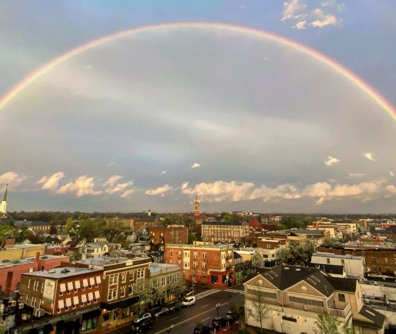 Rainbow Over Montclair: 7 Restaurants With Gluten-Free Options in Montclair, New Jersey